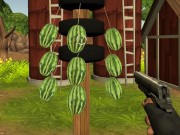 Play Watermelon Shooter Game on FOG.COM