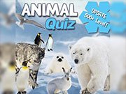 Play Animal Quiz Game on FOG.COM