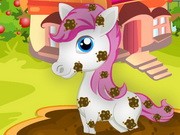 Play Pretty Pony Day Care Game on FOG.COM