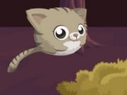 Play Jump Kitty Game on FOG.COM