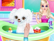 Play Princess Elsa New Poodle Friend Game on FOG.COM