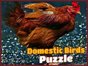 Play Domestic Birds Puzzle Game on FOG.COM