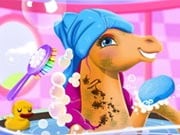 Play Fairy Pony Caring Adventure Game on FOG.COM