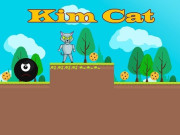 Play Kim Cat Game on FOG.COM