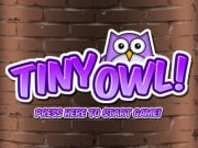 Play Tiny Owl Game on FOG.COM