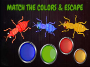 Play Ants: Tap Tap Color Ants Game on FOG.COM