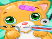 Play Little Cat Doctor Pet Vet Games Game on FOG.COM