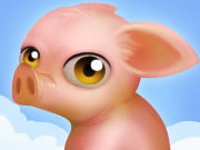 Play Get block the pig  Game on FOG.COM