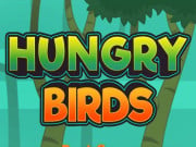 Play Hungry Bird Game on FOG.COM