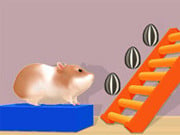 Play Hamster Stack Maze Game on FOG.COM