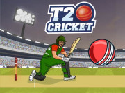 Play T20 Cricket Game on FOG.COM