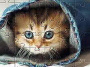 Play Cute Cat Jigsaw Puzzle Game on FOG.COM